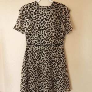 Animal Print Short Sleeve Skater Dress (Flawed)